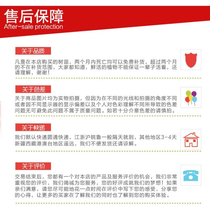 黄心红心柚子树苗南方北方阳台盆栽