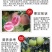 黄心红心柚子树苗南方北方阳台盆栽