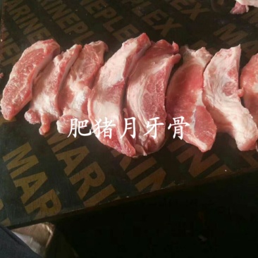 生猪月牙骨