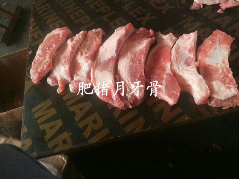 生猪月牙骨