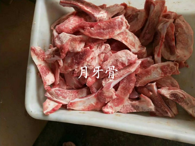 生猪月牙骨