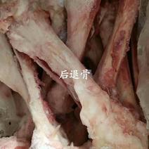 生猪后腿骨