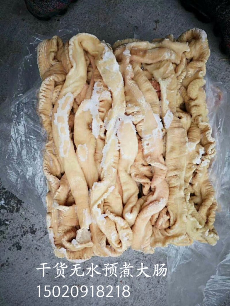 生猪