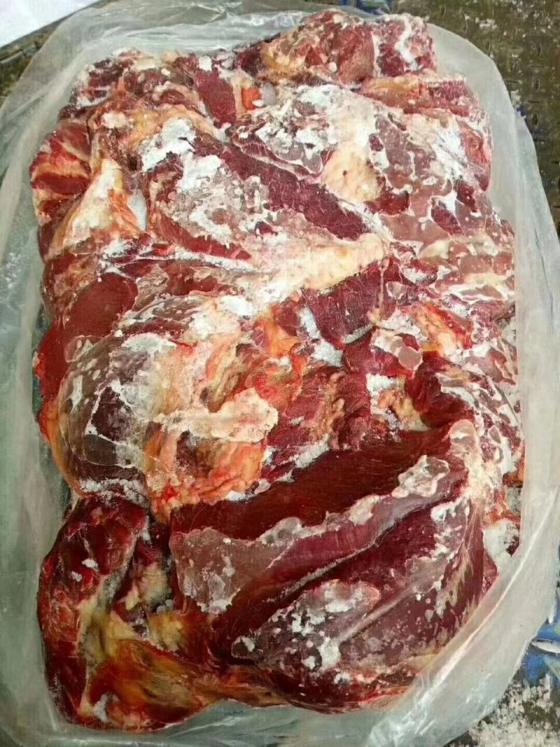 正关马肉马腱子