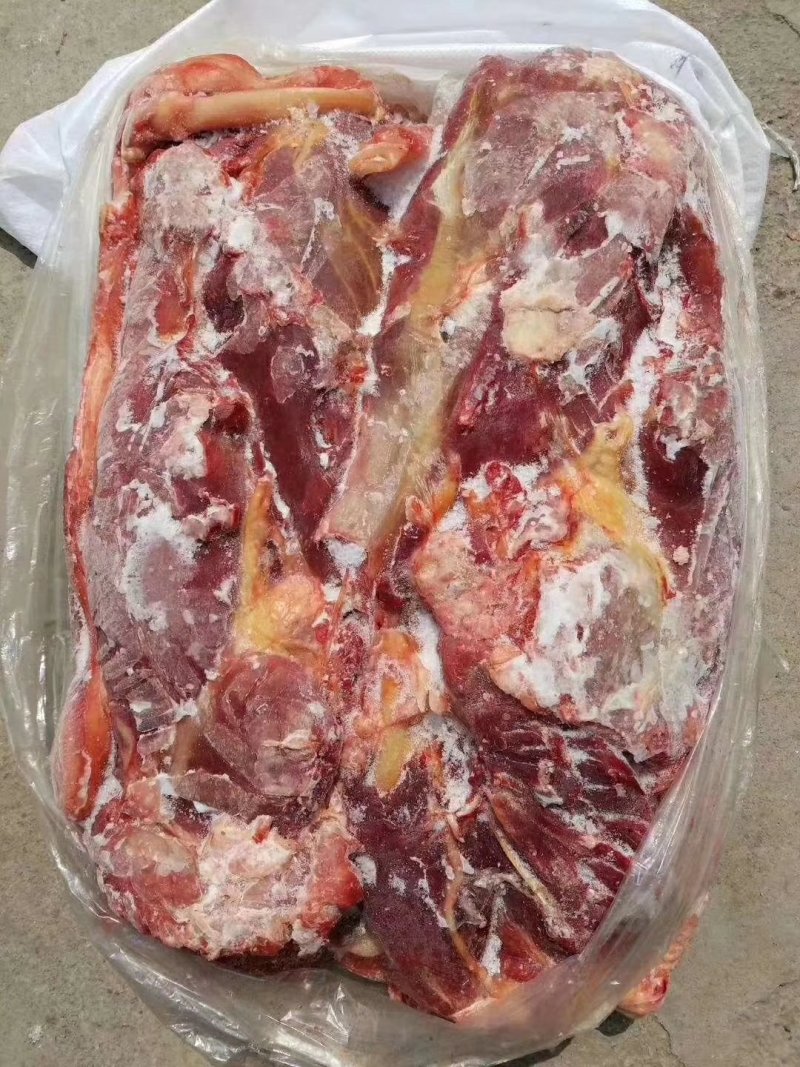 正关马肉马腱子