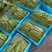 扁豆2厘米以上15厘米以上