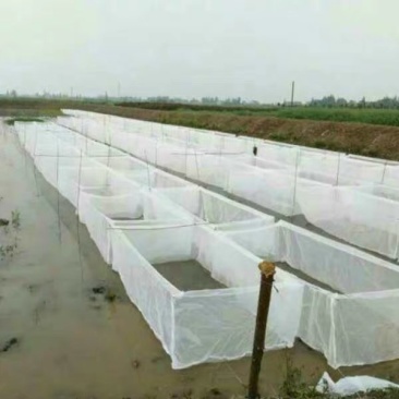 养殖网箱