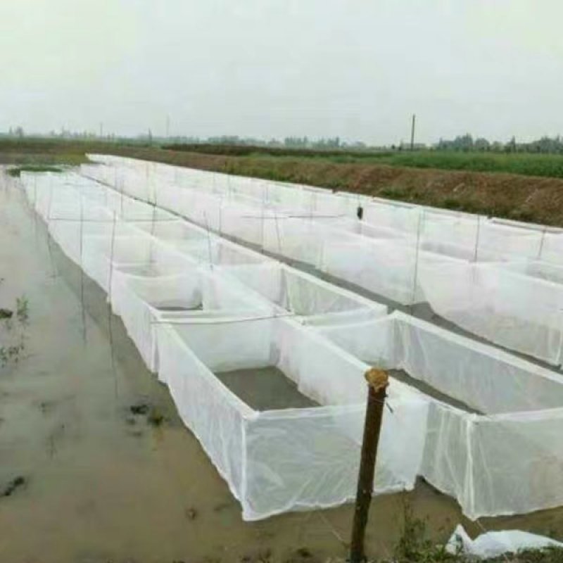 养殖网箱