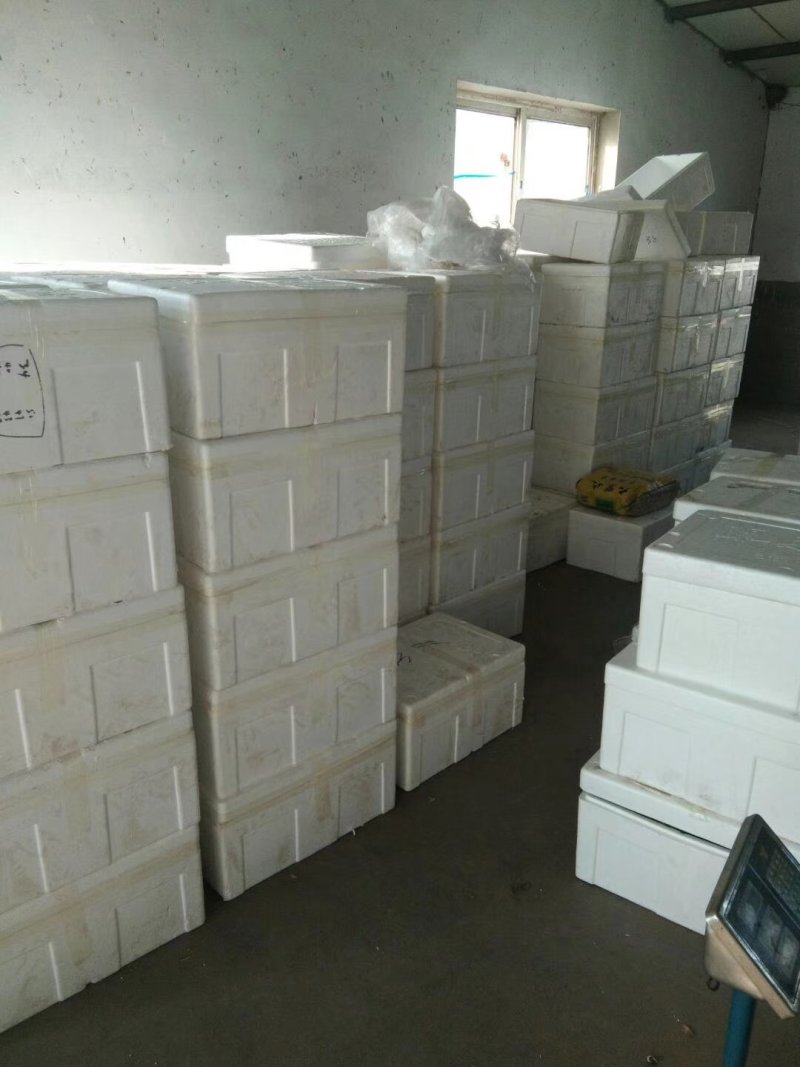 长期大量代收各种精品蔬菜，直采