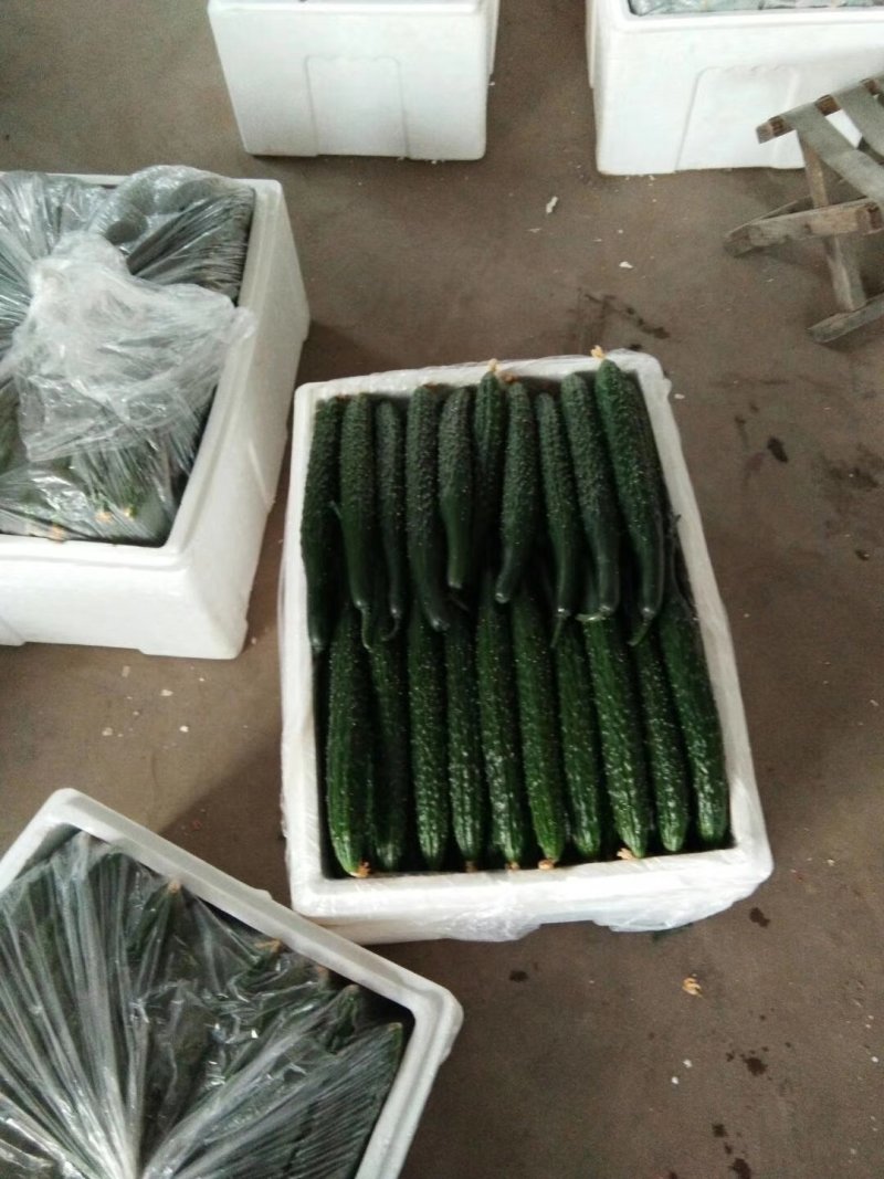 长期大量代收各种精品蔬菜，直采