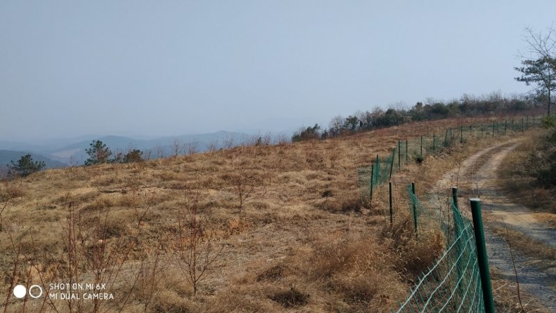 转让或合作漳河新区300亩综合农场