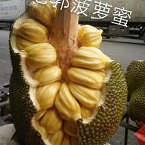 泰国进口菠萝蜜，榴莲