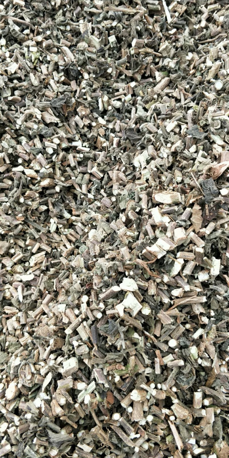 广藿香统个，饮片