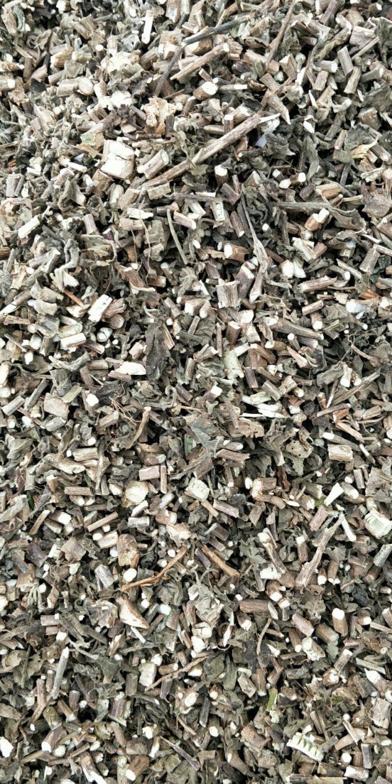 广藿香统个，饮片