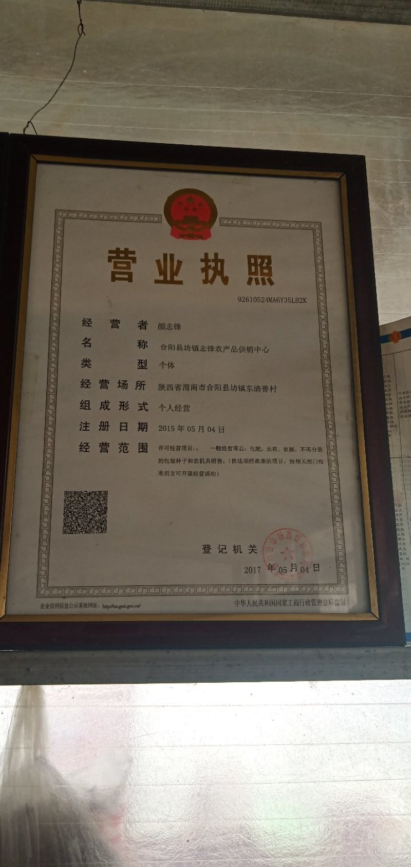 进口阳丰甜柿子苗一年苗！两年苗！