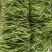 常年供应芸豆、无丝豆、豆王、架豆王。货源充足，品质保证