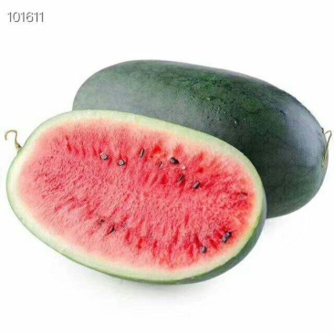 越南黑美人西瓜约10斤一件代发