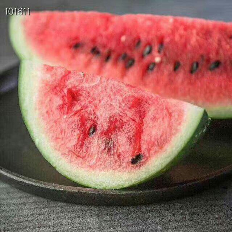 越南黑美人西瓜约10斤一件代发