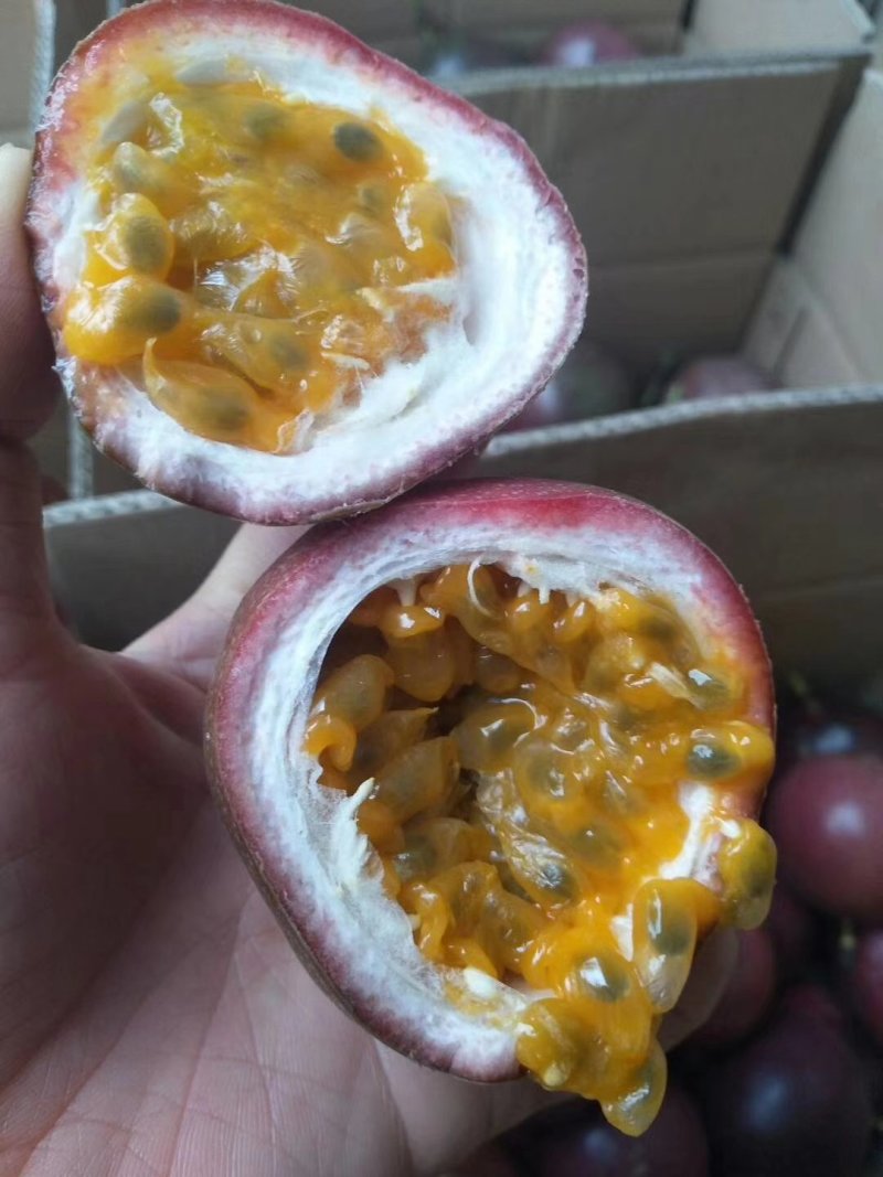 赣南百香果产地直发，支持一件代发，橙招代理