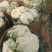 花菜散花