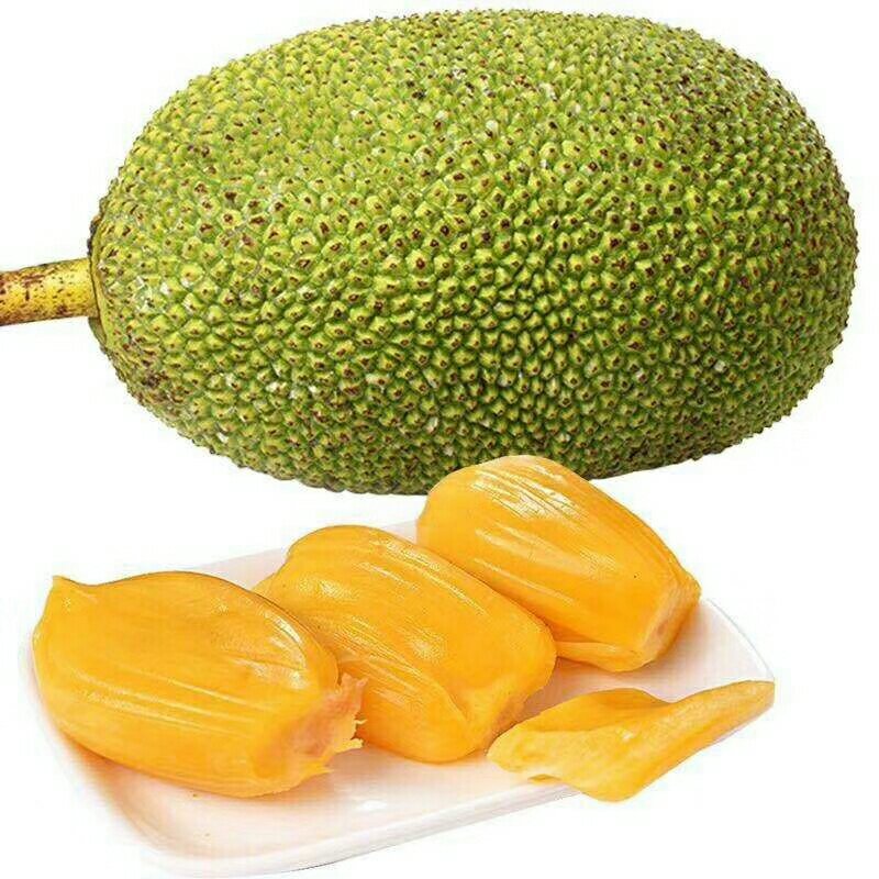 越南红心菠萝蜜一件代发