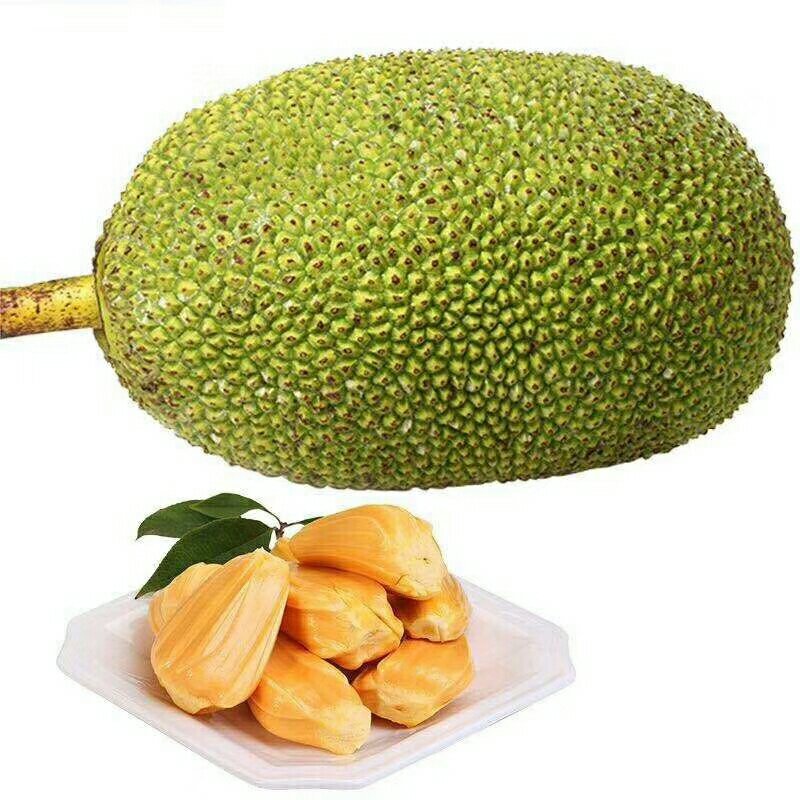 越南红心菠萝蜜一件代发