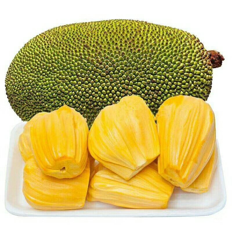 越南红心菠萝蜜一件代发
