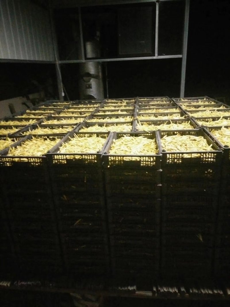陕西优质黄花菜苗，栽培好品种才是硬道理，包回收上地指导