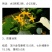 广西.中药野生（玉叶金花）