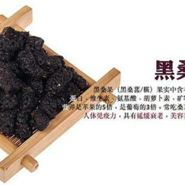 桑果干～优质桑果干烘干货1斤起批发零售