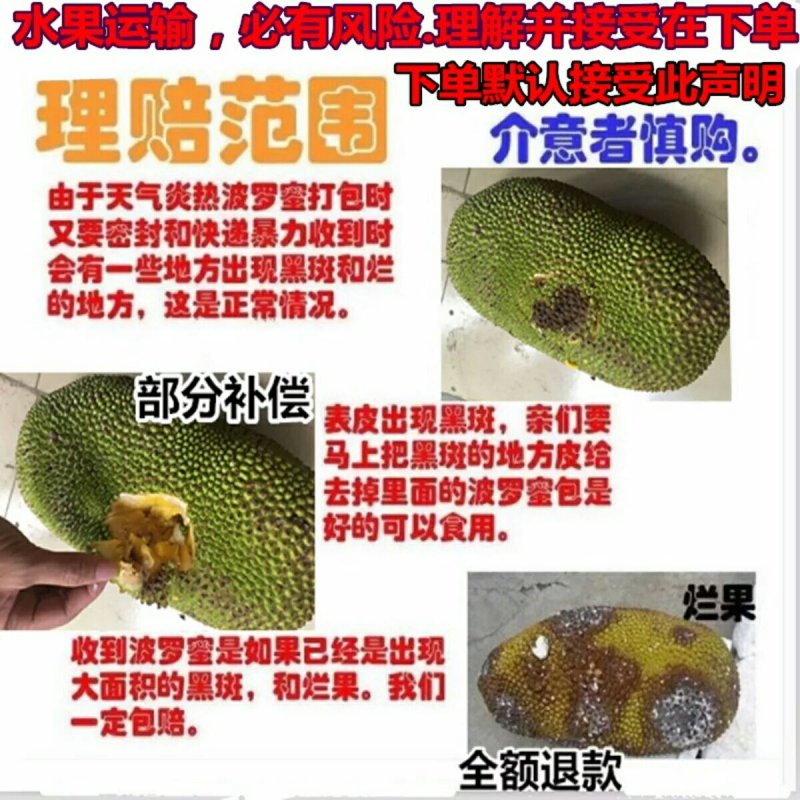 海南黄肉菠萝蜜，对接代理，电商以批发零售市场，欢迎下单！