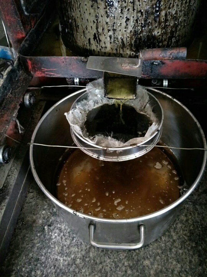 高山山茶油茶油绿色食用油茶籽油