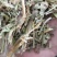 花生秧，花生秧价格，花生秧羊牛草，花生秧饲料