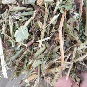 花生秧，花生秧价格，花生秧羊牛草，花生秧饲料