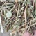 花生秧，花生秧价格，花生秧羊牛草，花生秧饲料