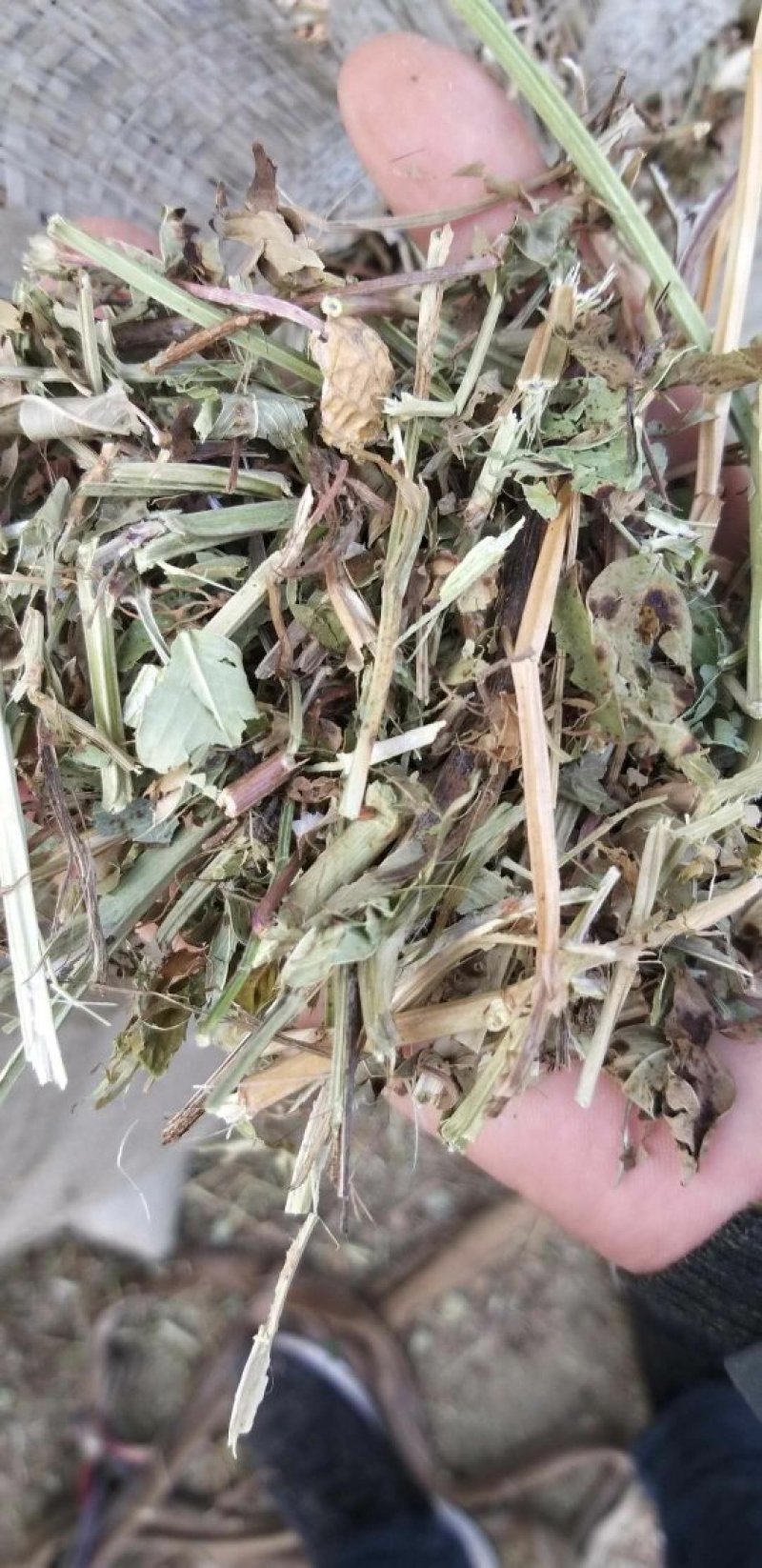 花生秧，花生秧价格，花生秧羊牛草，花生秧饲料