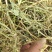 花生秧，花生秧价格，花生秧羊牛草，花生秧饲料