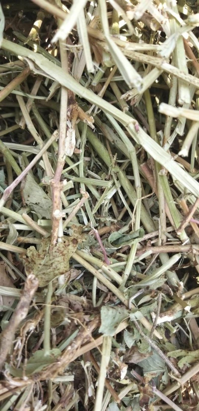 花生秧，花生秧价格，花生秧羊牛草，花生秧饲料