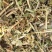 花生秧，花生秧价格，花生秧羊牛草，花生秧饲料