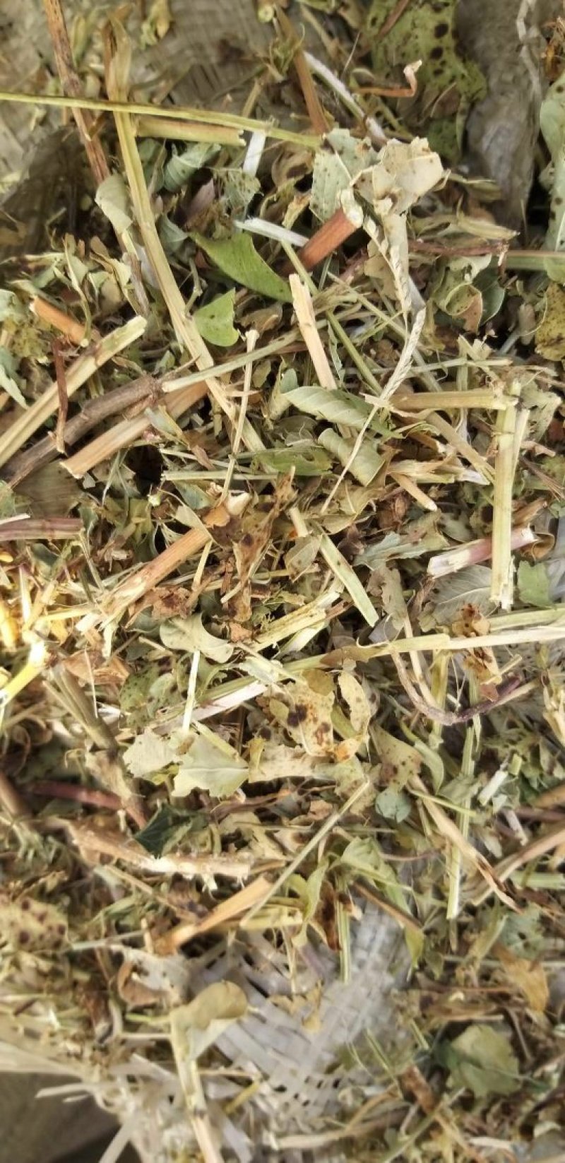 花生秧，花生秧价格，花生秧羊牛草，花生秧饲料