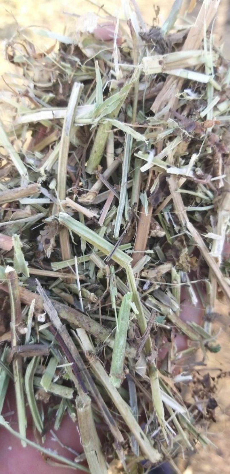 花生秧，花生秧价格，花生秧羊牛草，花生秧饲料