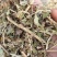 花生秧，花生秧价格，花生秧羊牛草，花生秧饲料