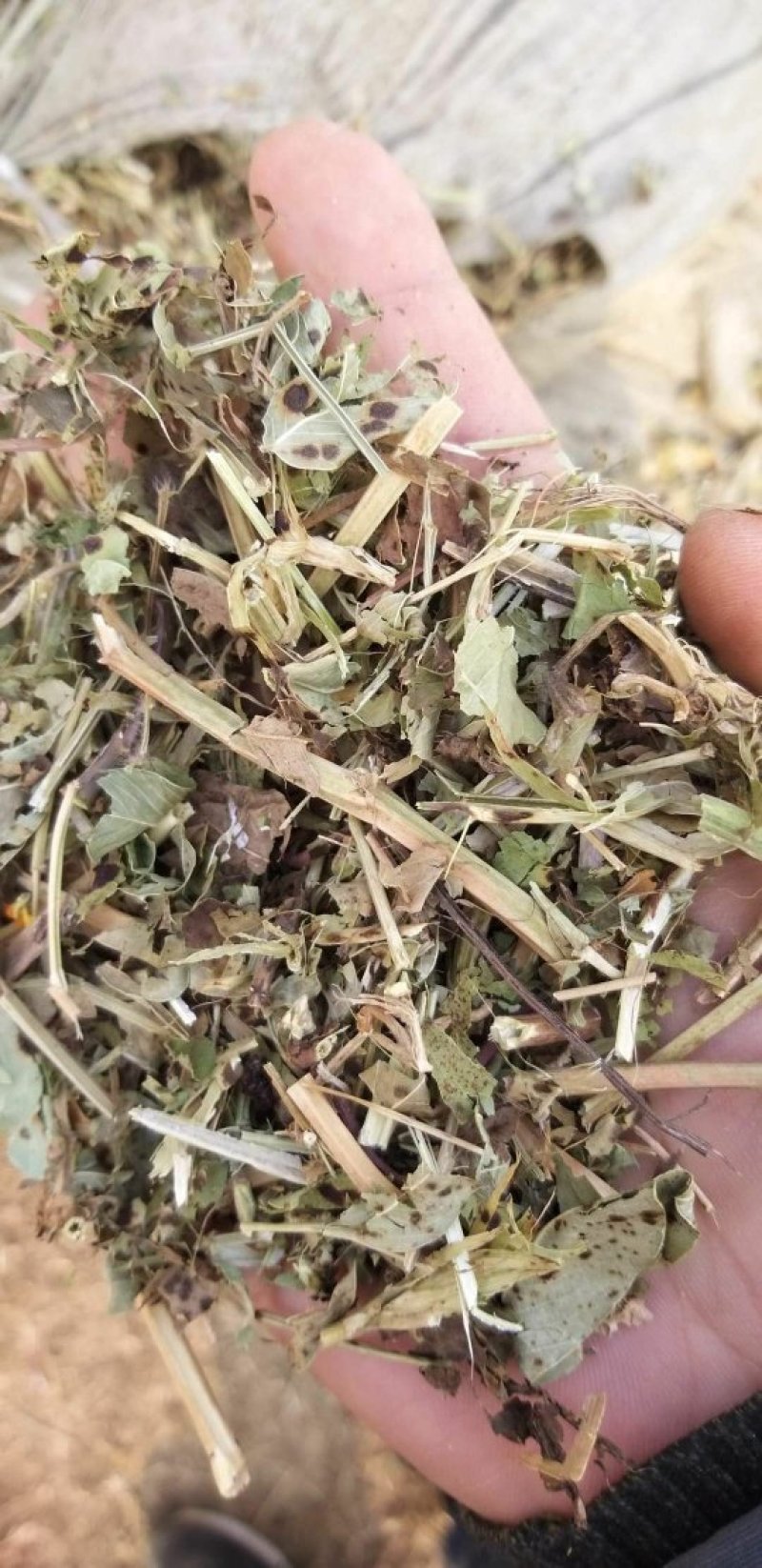 花生秧，花生秧价格，花生秧羊牛草，花生秧饲料