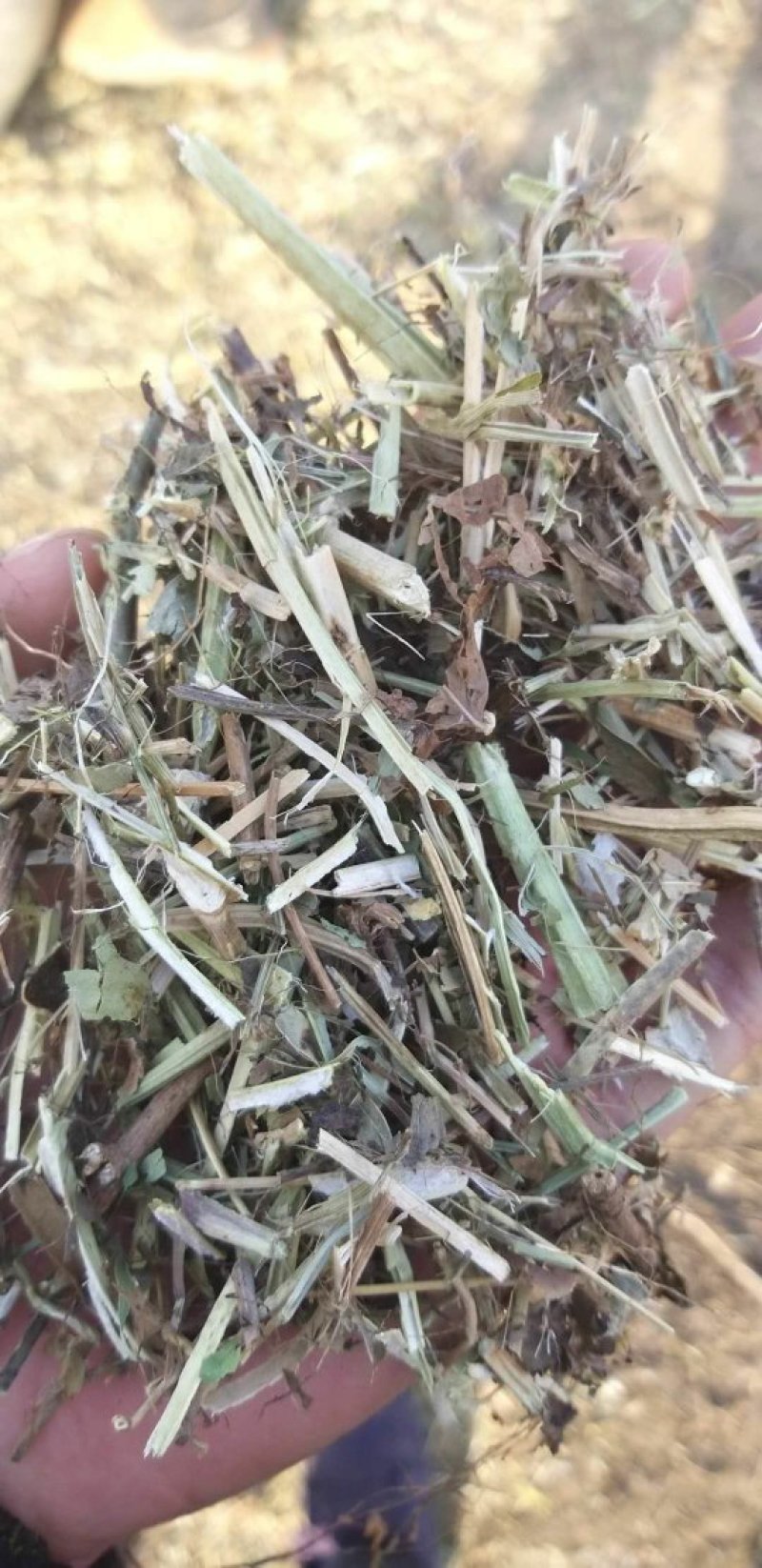 花生秧，花生秧价格，花生秧羊牛草，花生秧饲料