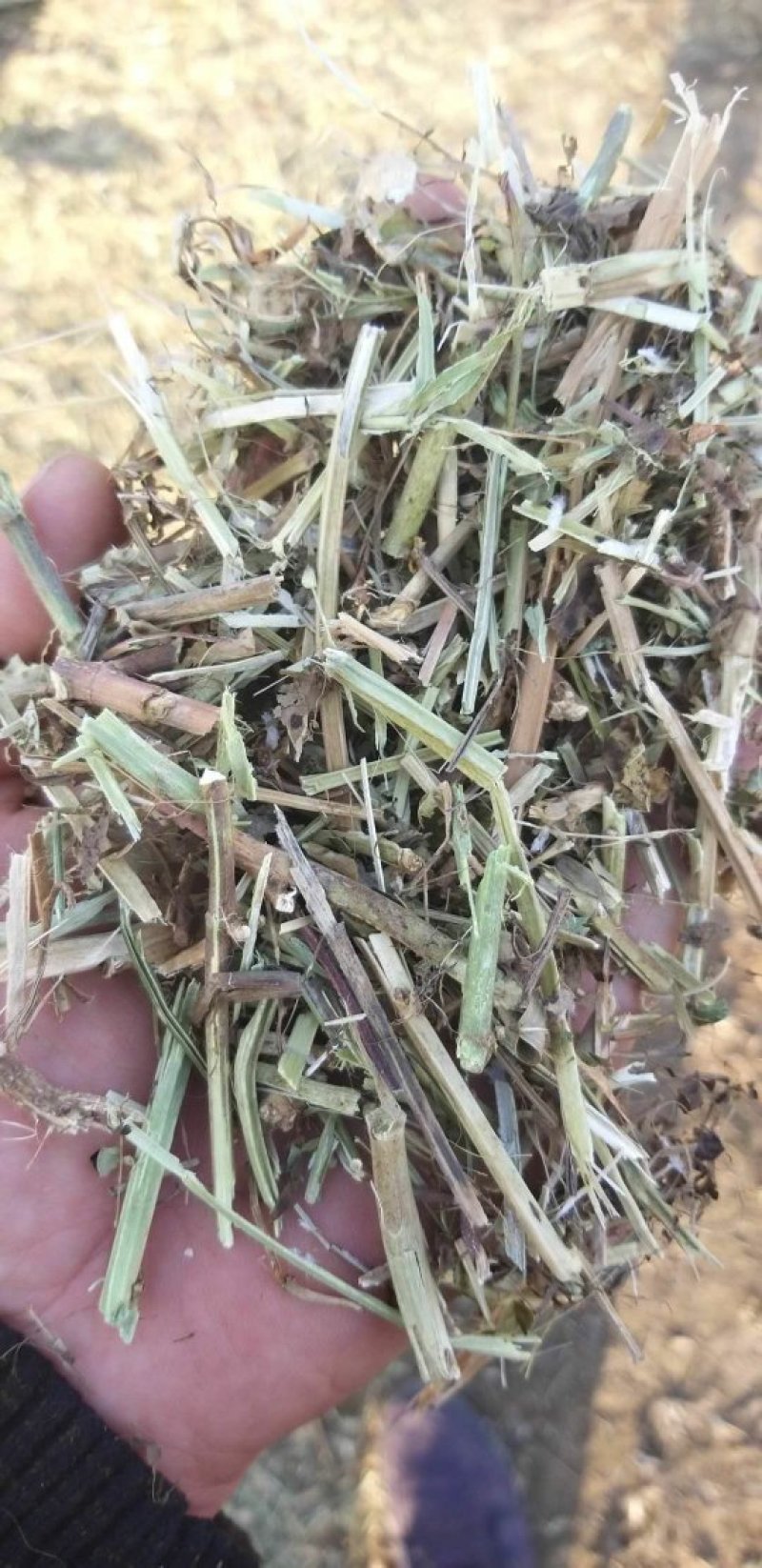 花生秧，花生秧价格，花生秧羊牛草，花生秧饲料