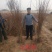 山杏苗，