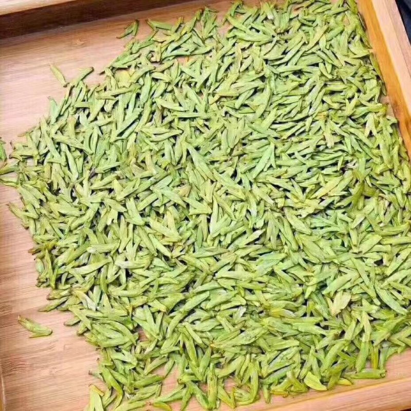 龙井43