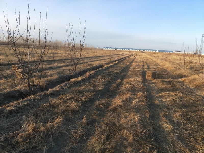 三千亩耕地向外出租，可以分租