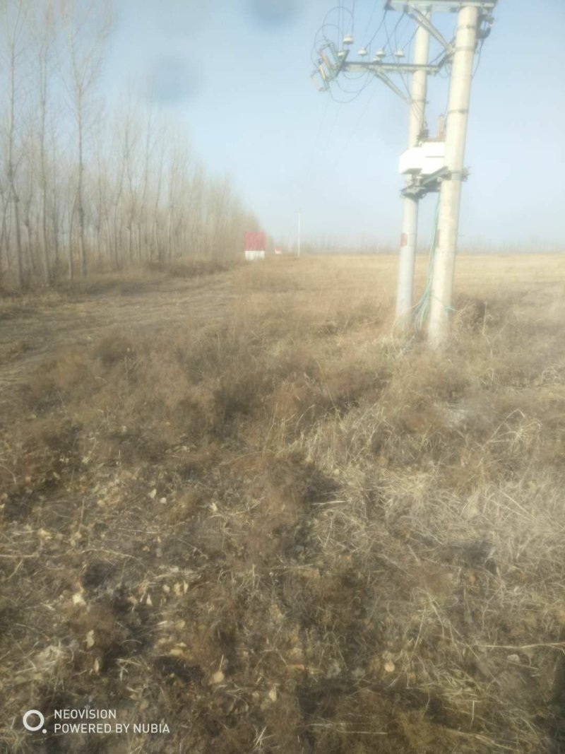 无林地两千多亩，五百亩地可以分包