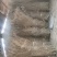 扫帚苗